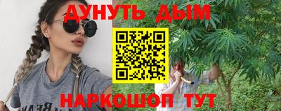 индика Пенза