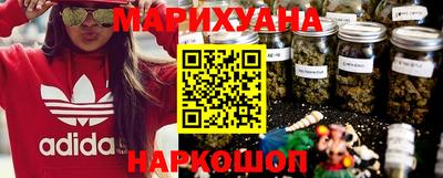 индика Пенза