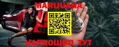 индика Пенза