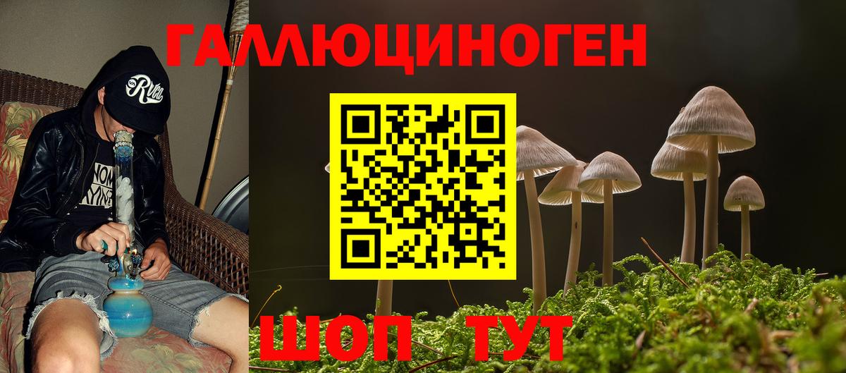 Галлюциногенные грибы Psilocybine cubensis  наркота  Тихорецк  Вход с VPN 