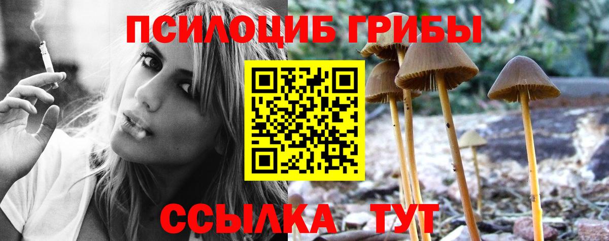 Галлюциногенные грибы прущие грибы Тихорецк
